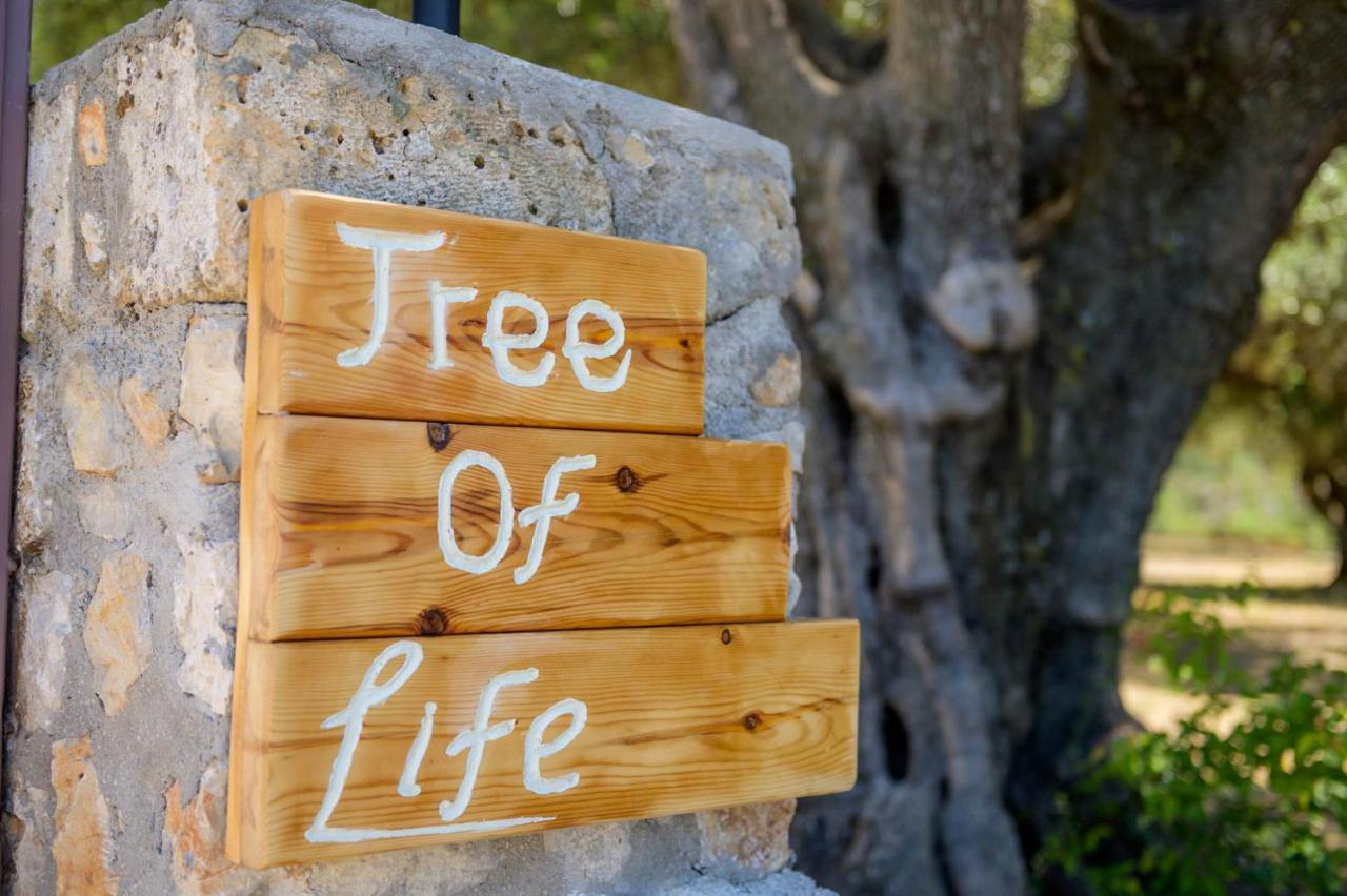 Tree Of Life Villa Valeriános Buitenkant foto