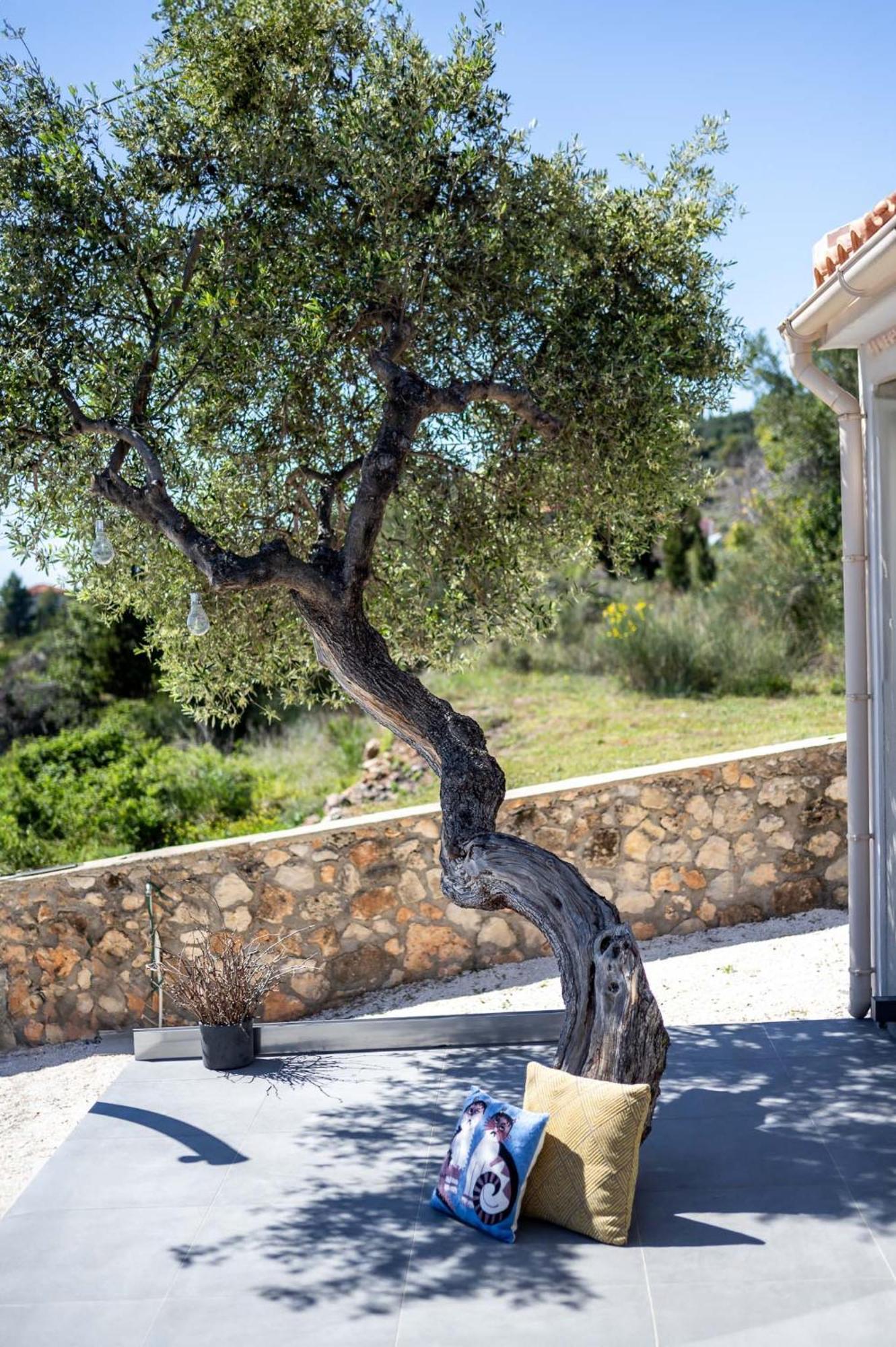 Tree Of Life Villa Valeriános Buitenkant foto